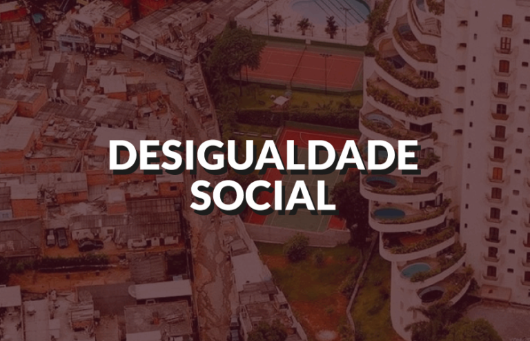 Desigualdade, Políticas Sociais e crescimento econômico: uma análise de duas experiências exitosas de combate à exclusão social no Brasil contemporâneo.