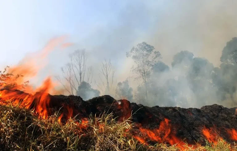 Brasil sufoca em fumaça e a culpa é do agro, por Marcelo Leite