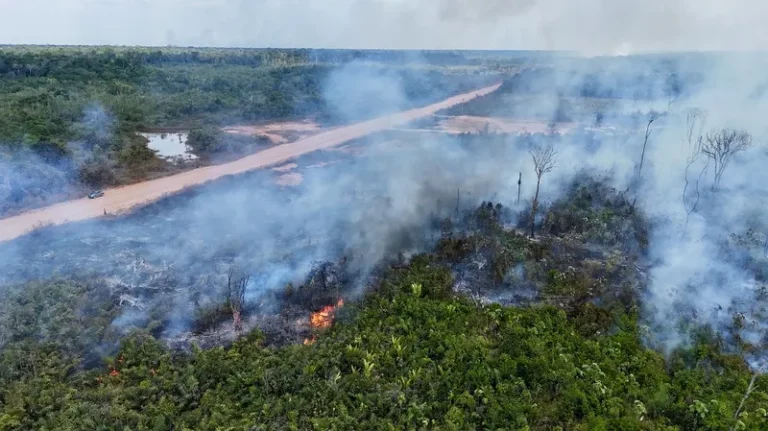 Fogo na mata é pedra cantada, por Manuel Domingos Neto