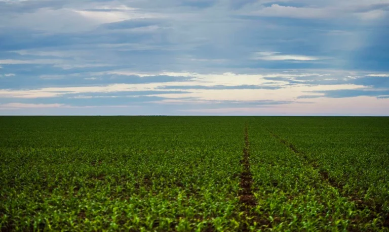 Os desafios do movimento pela reforma agrária, por João Pedro Stédile